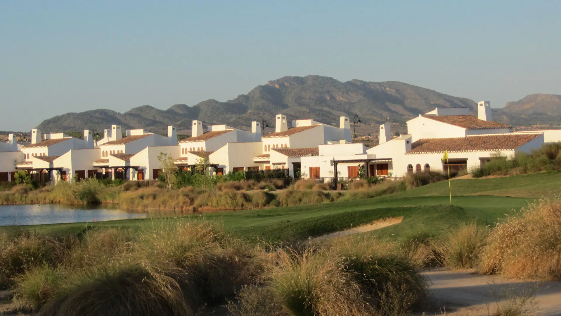 A view of some houses in the distance.