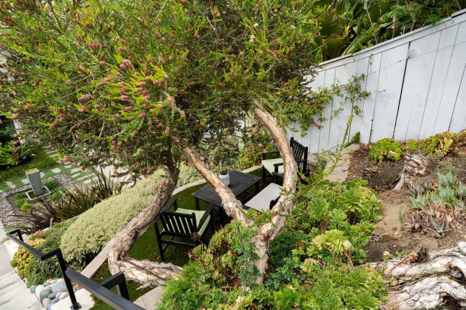 A tree is growing over the top of a deck.