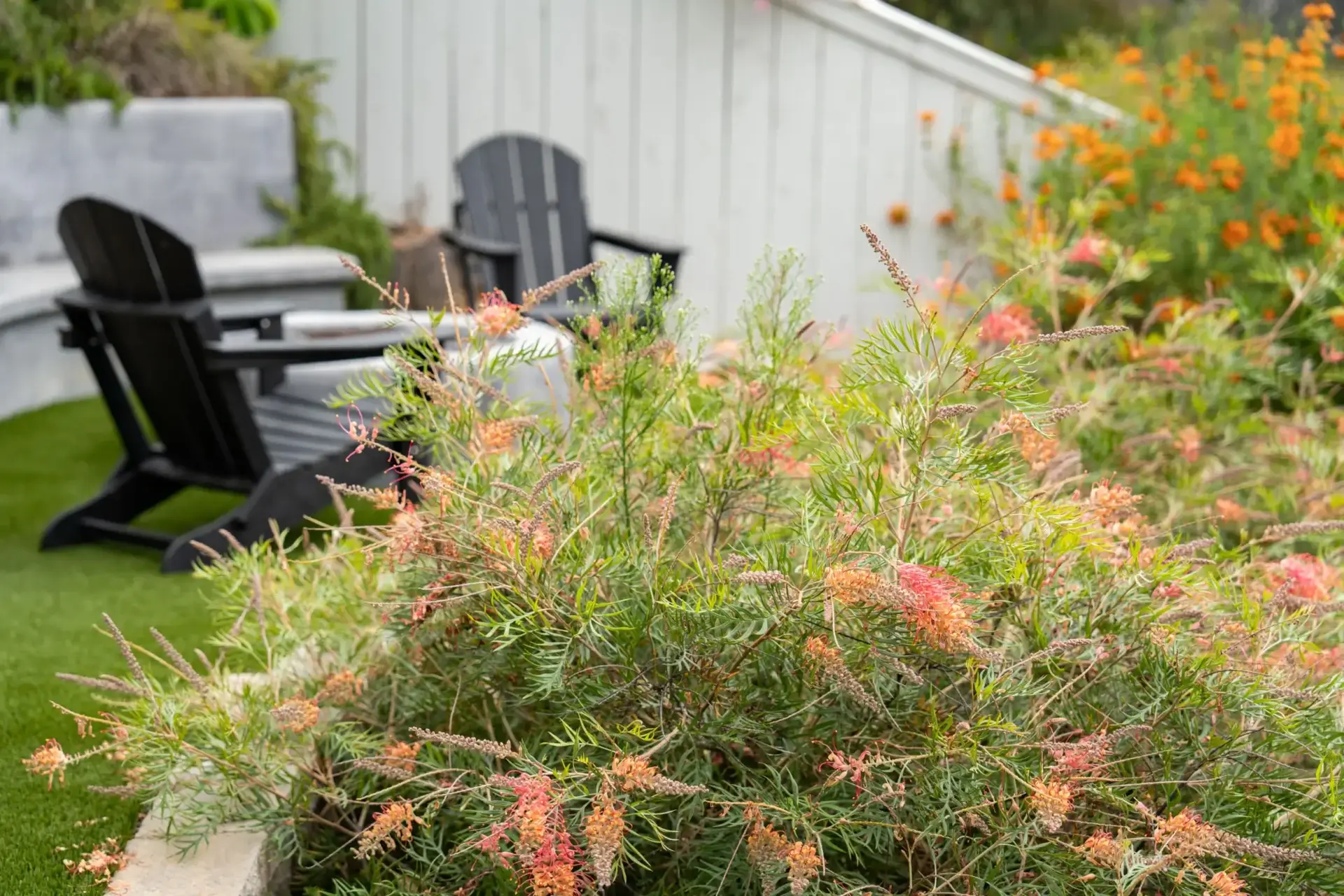 A garden with chairs and flowers in the background.