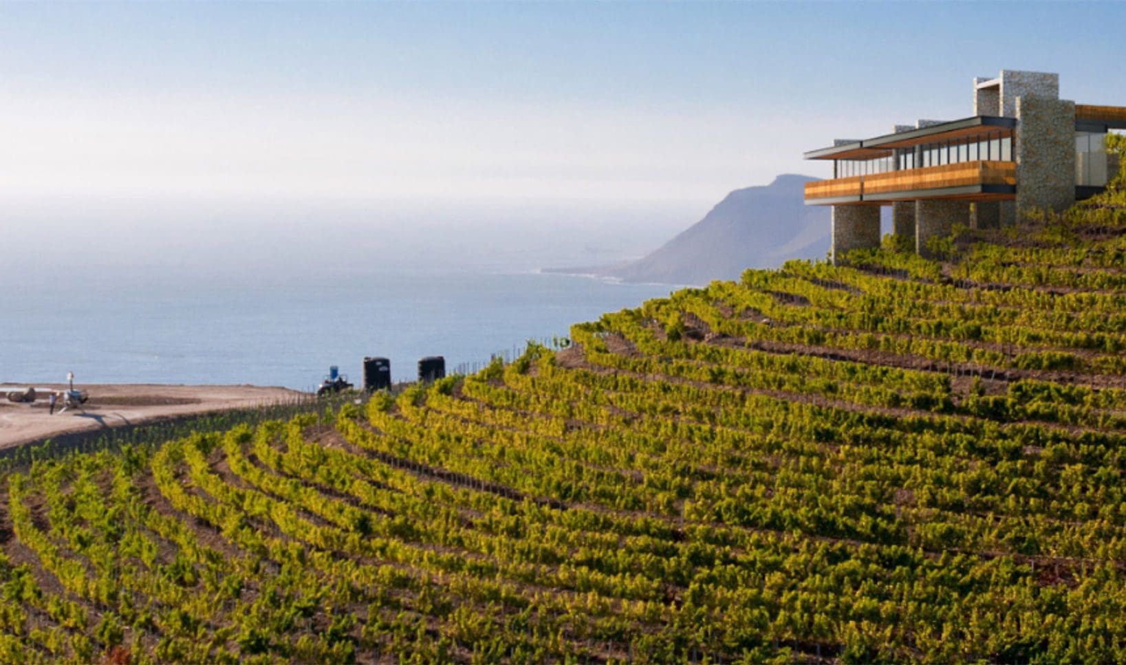 A vineyard with a view of the ocean and mountains.