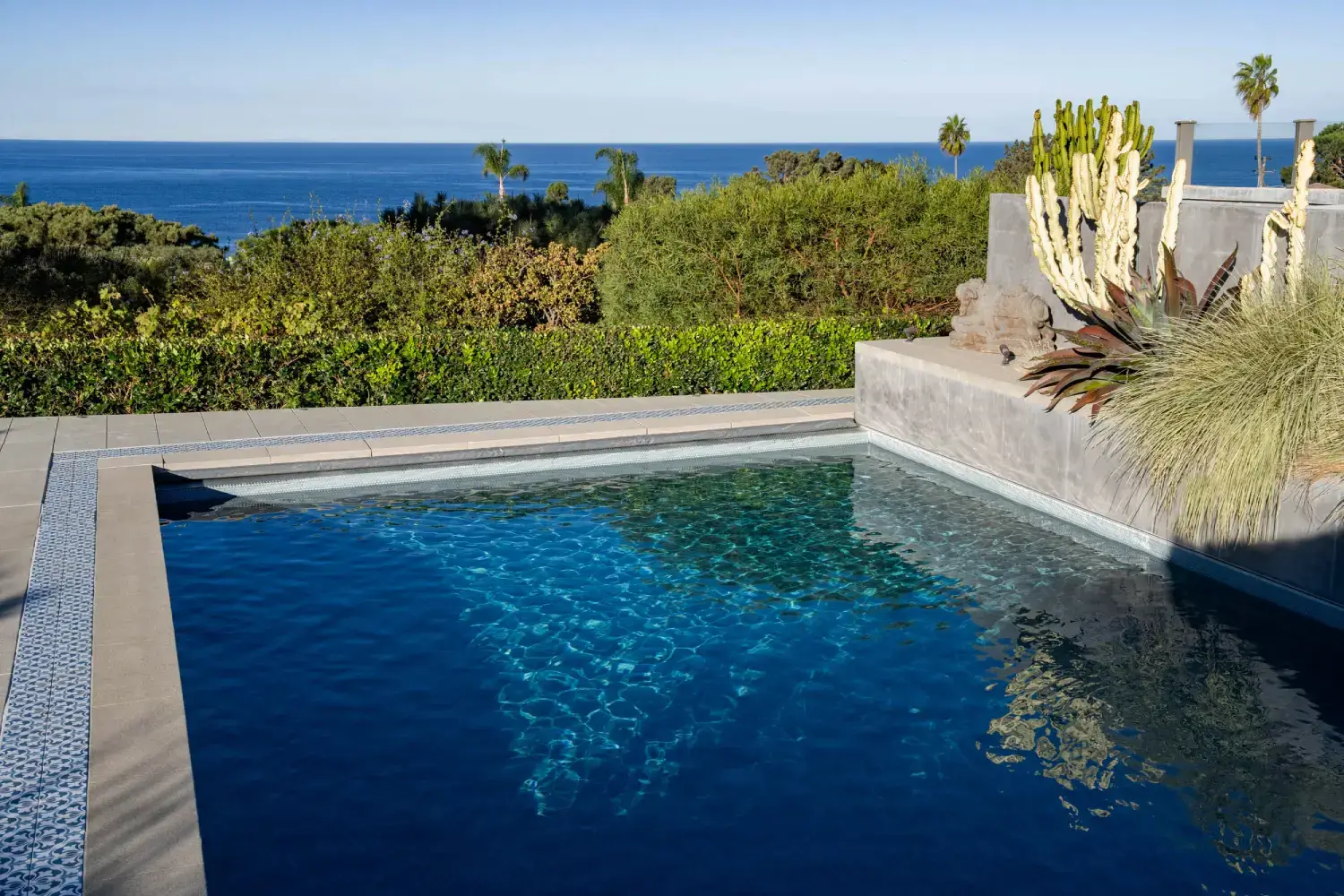 A pool with an ocean view and plants in the water.