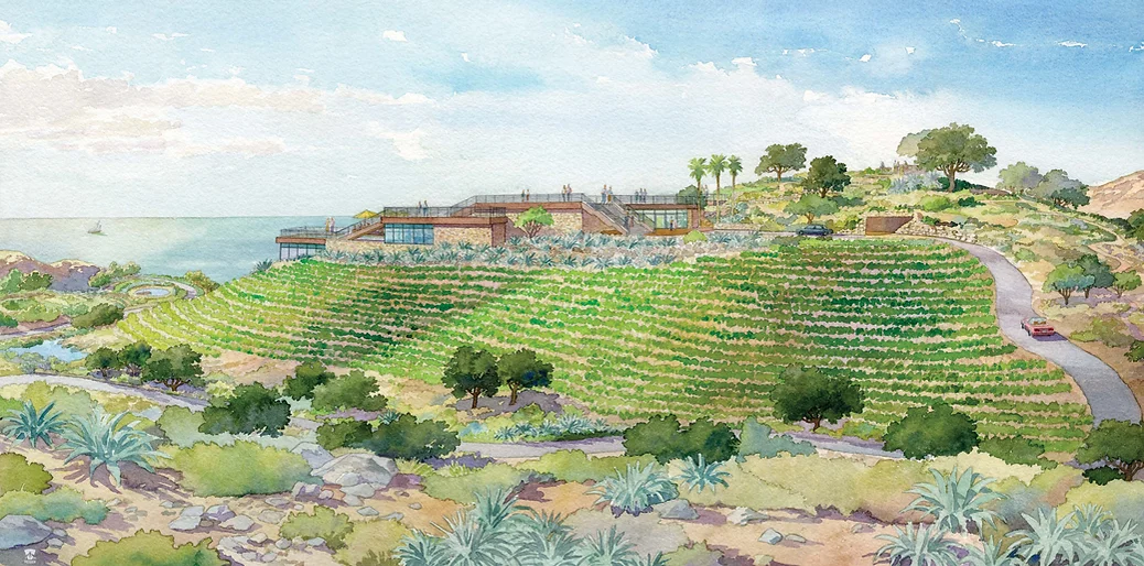 A painting of a vineyard with many trees