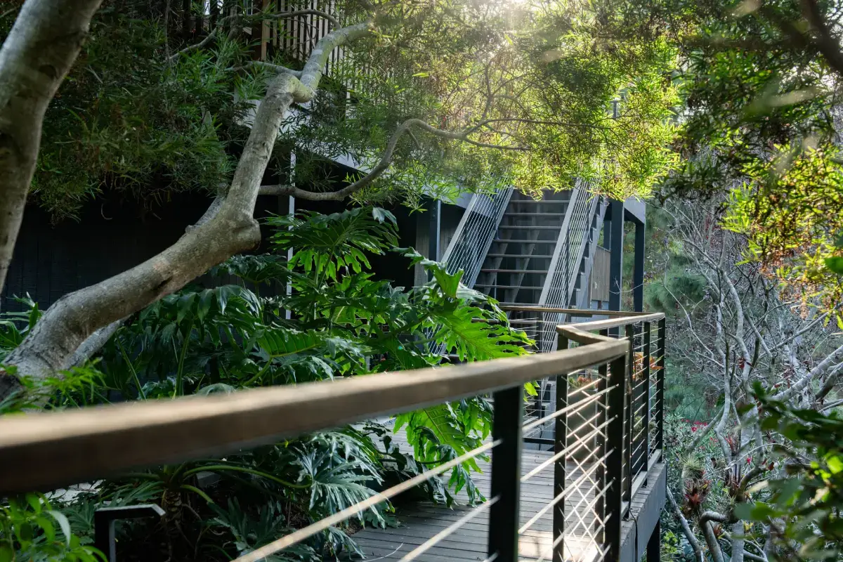 A view of trees and stairs from the walkway.