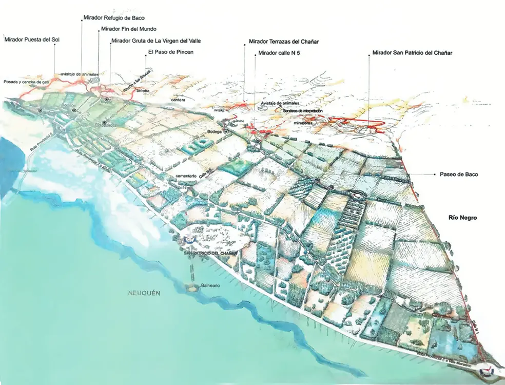 A map of the area with many roads and buildings.