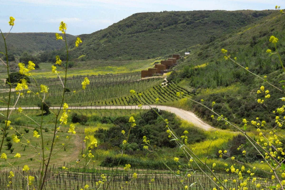 A view of some green hills and fields.