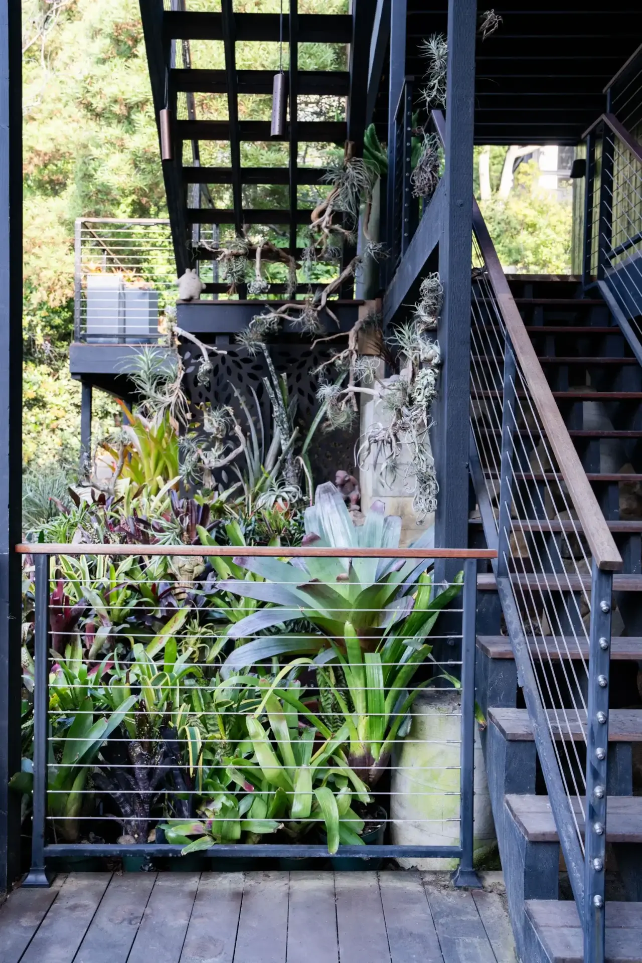 A view of stairs and plants in the background.