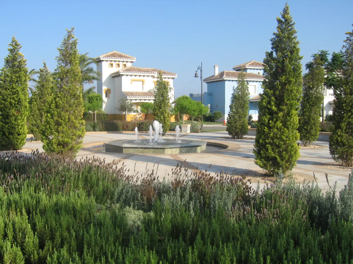 A view of some trees and buildings in the background.