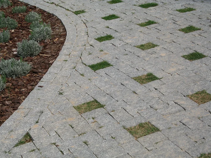 A close up of the pavement with grass growing on it
