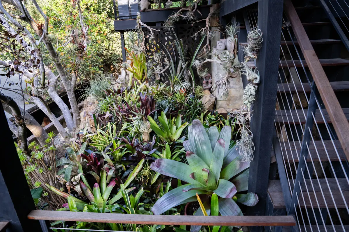 A garden with many different plants and flowers.