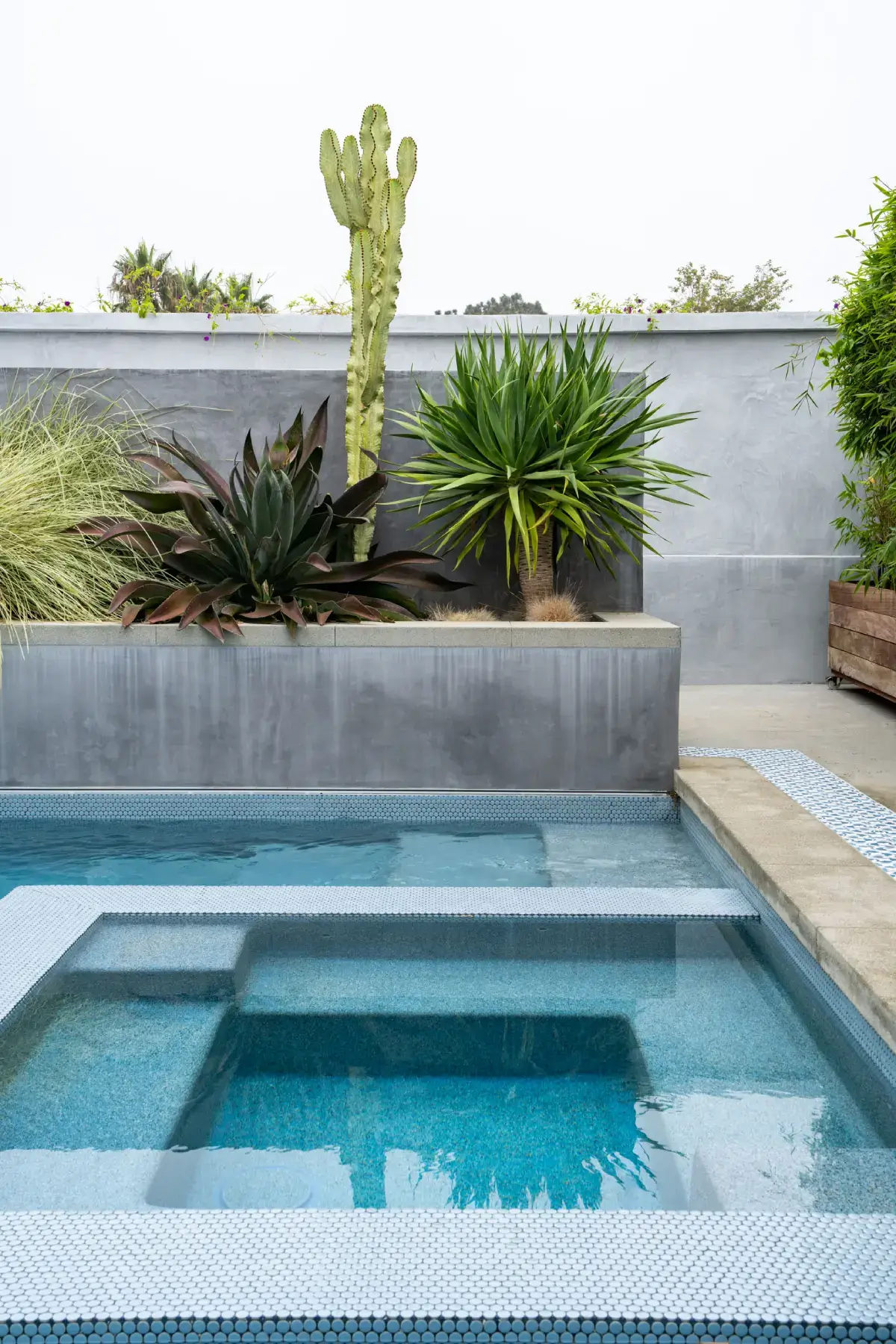A pool with a bench and plants in it