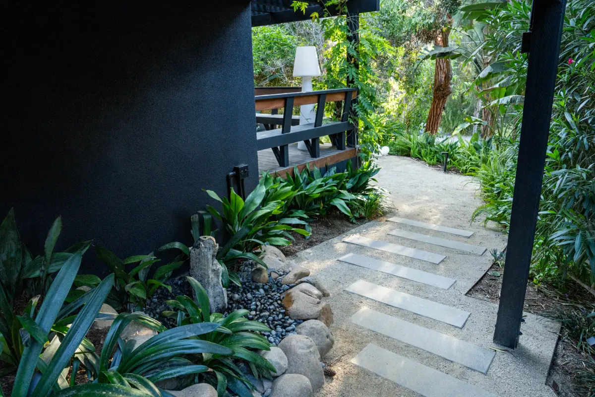 A walkway with plants and rocks in the middle of it.