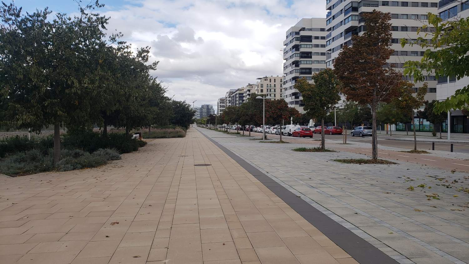 A sidewalk with trees and buildings in the background.