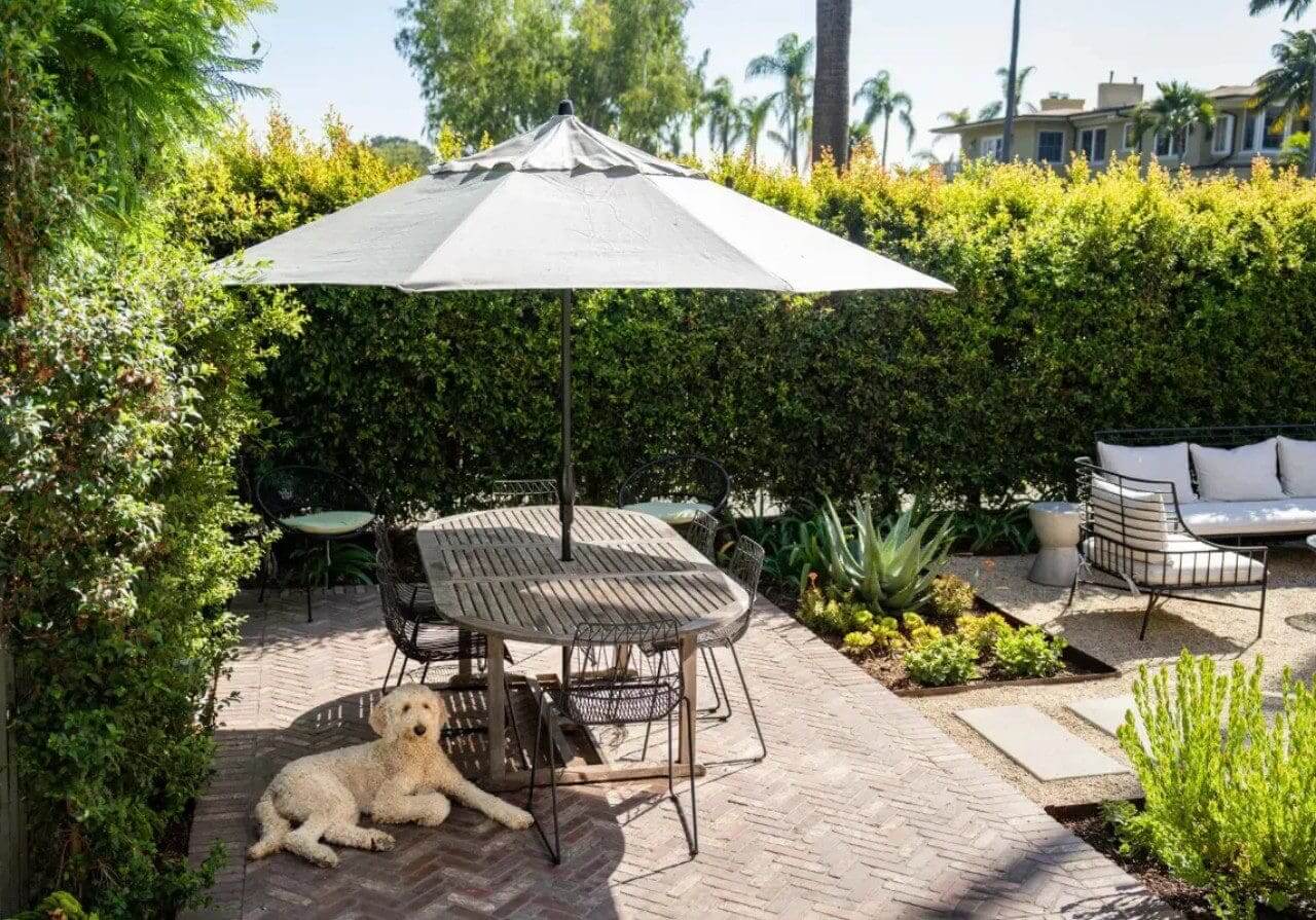A dog sitting under an umbrella on top of a patio.