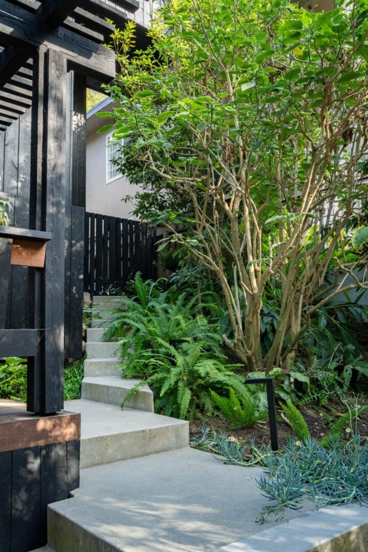 A garden with stairs and plants in the background.
