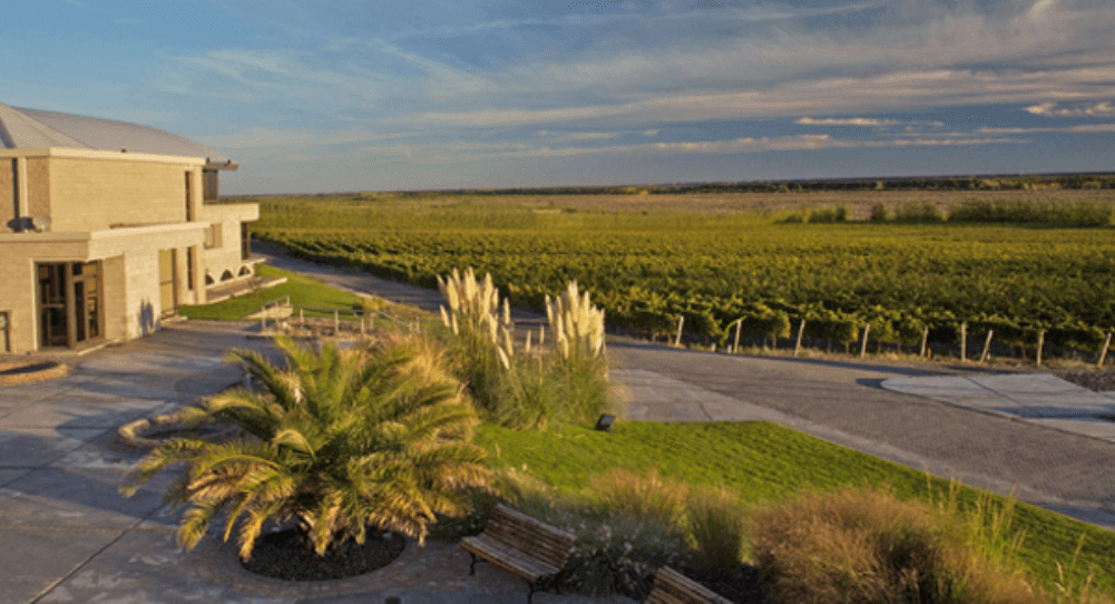 A road with grass and bushes near the side of it.