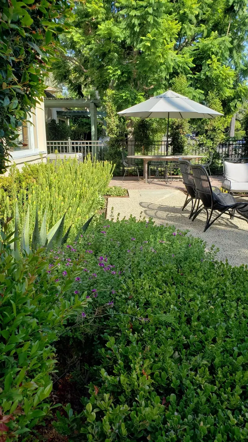 A patio with chairs and umbrellas in the background.