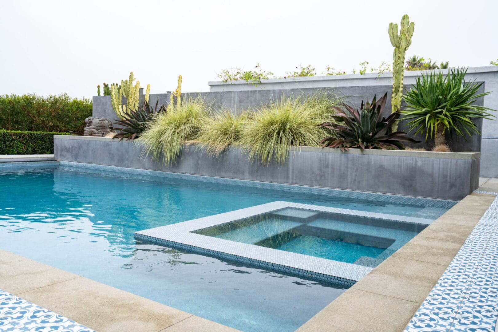 Modern pool with surrounding desert plants.