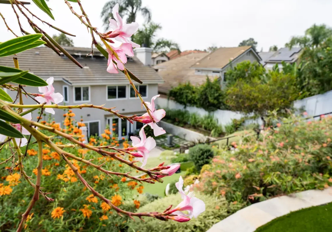 A house with many flowers in the yard