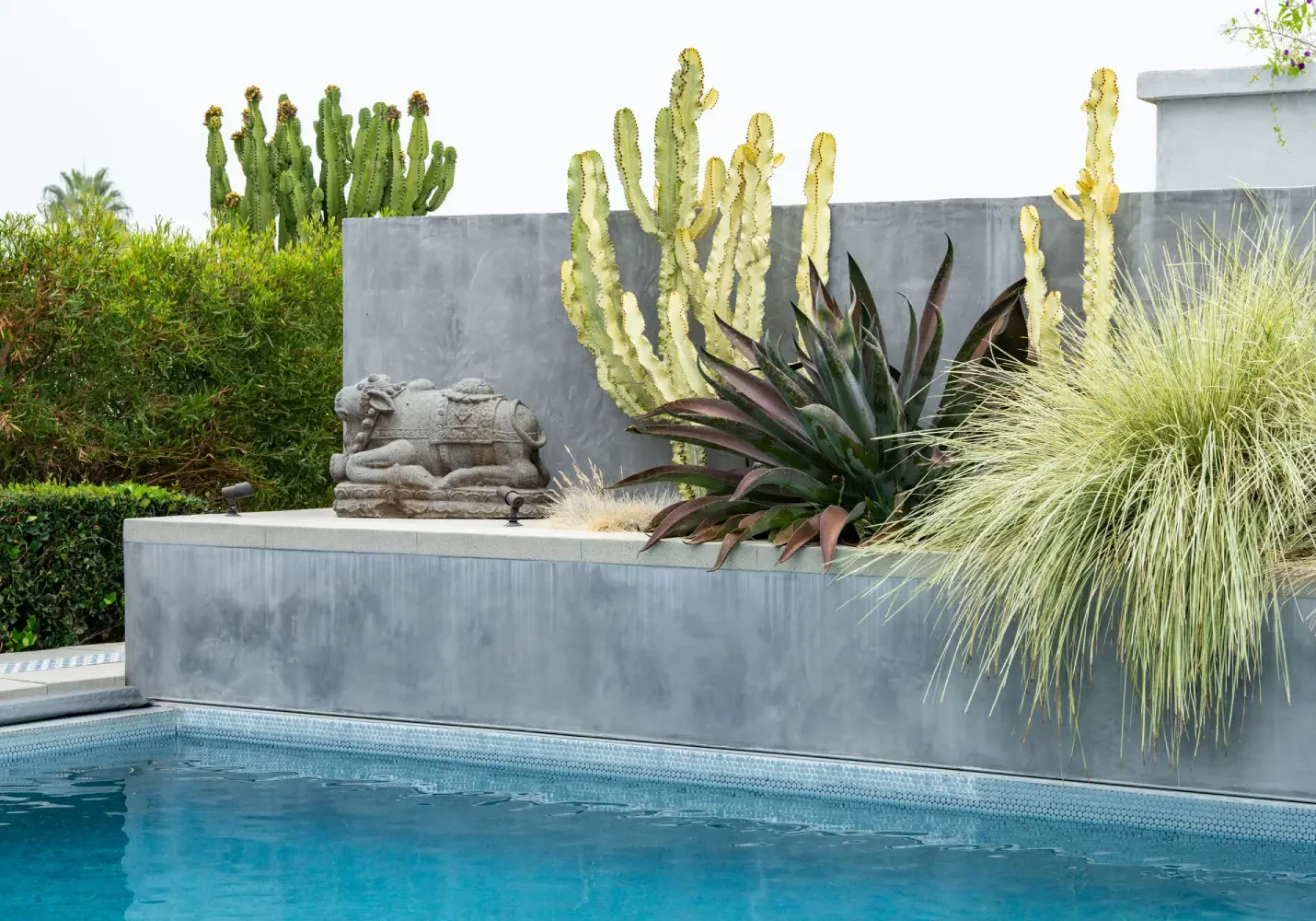 A pool with plants and cacti in the background.
