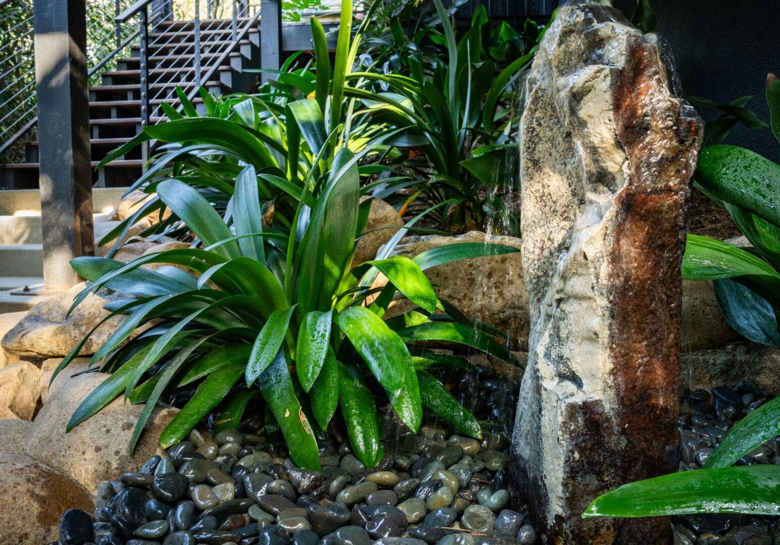 A large rock and some plants in the garden